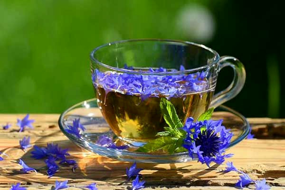 معرفی دمنوش مفید برای افراد سیگاری