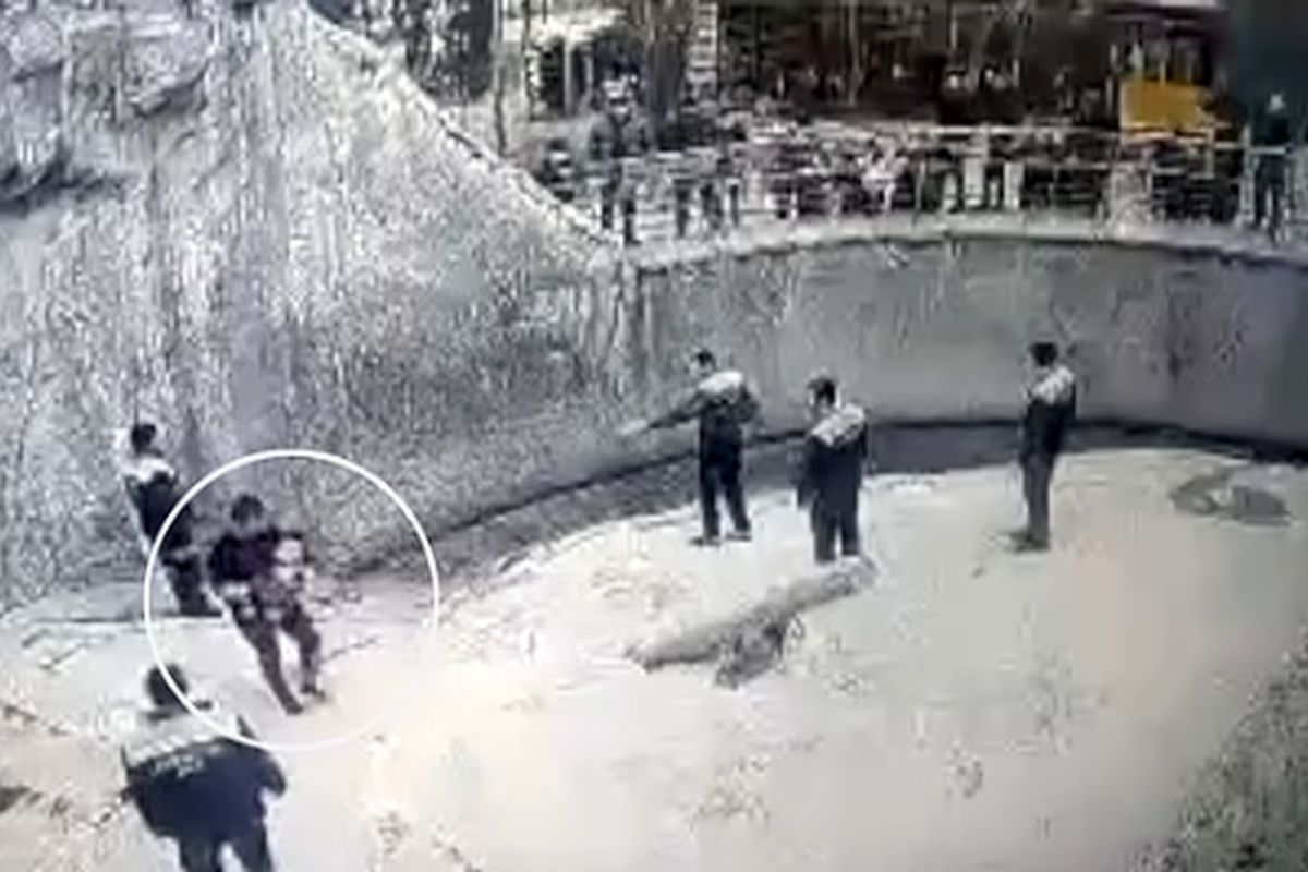 لحظه شوکه کننده پرت کردن دختر ۳ ساله به قفس خرس وحشی به دست مادرش/ مادر سنگدل خونسردانه نظاره گر ماجرا بود