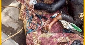 کشف جسد کرم‌خورده مرد پیچیده در فرش/ عکس ۱۸+