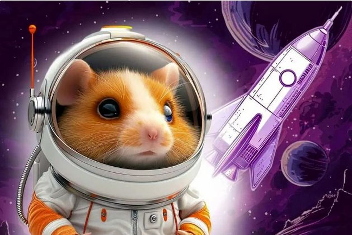 همستر کامبت تا کی وقت دارد؟/ آیا این بازی واقعا پول می شود؟