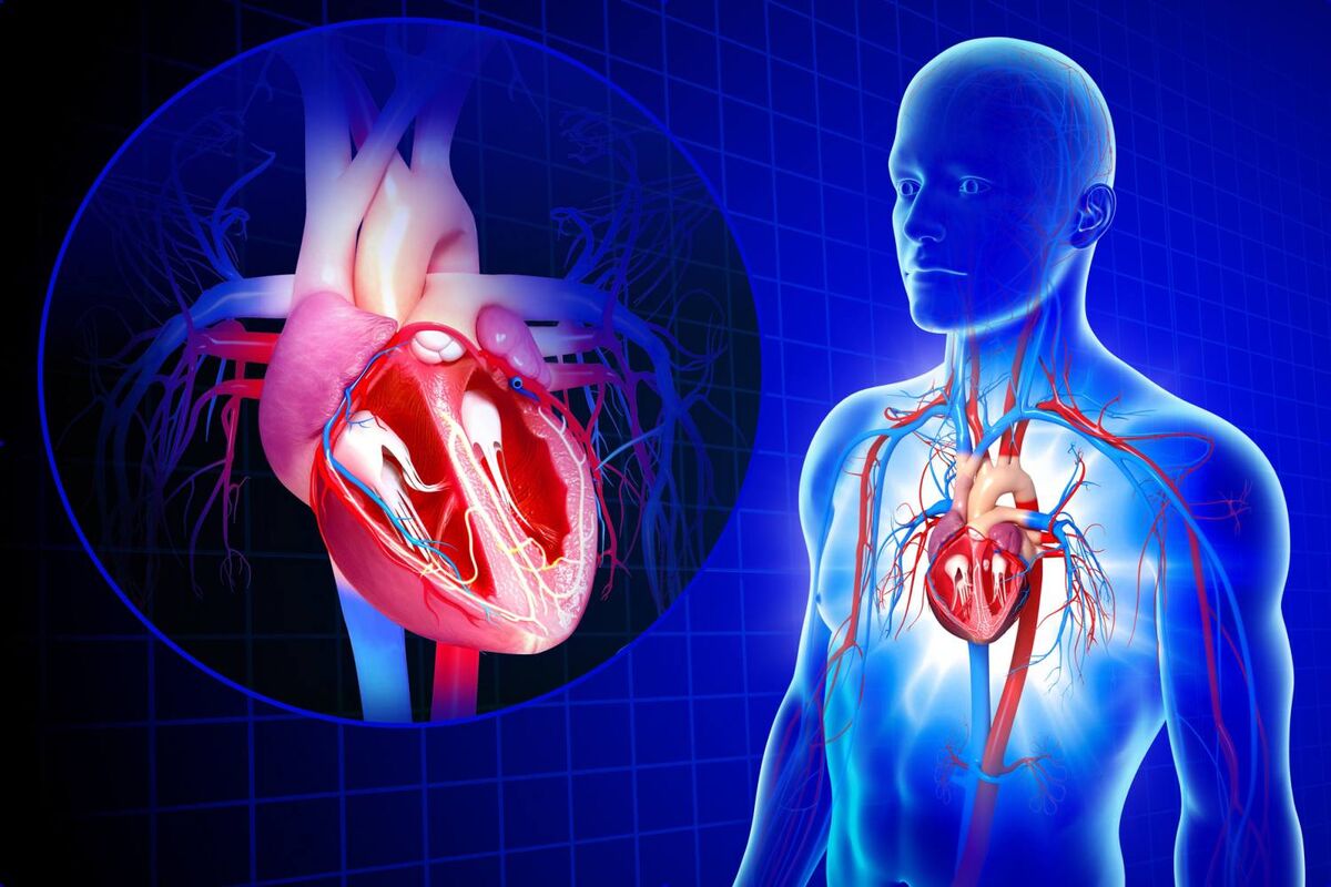 مهم‌ترین علت کوتاهی عمر افراد 