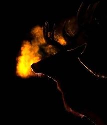 تصاویر؛ برندگان مسابقه عکاسی علمی انجمن سلطنتی ۲۰۲۵