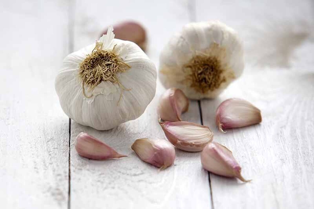 تاثیرات مثبت و منفی مصرف روزانه یک حبه سیر