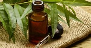 روغن درخت چای واقعاً به درمان آکنه و قارچ پا کمک می‌کند؟