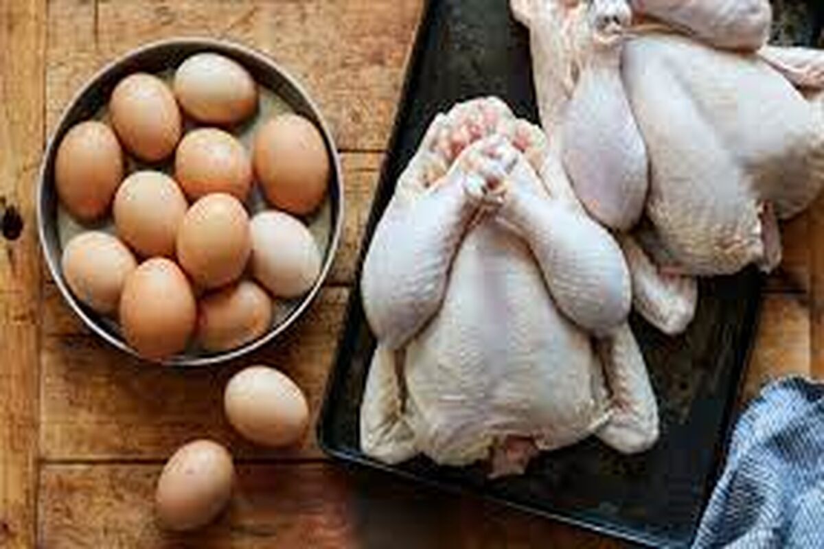 قیمت مصوب مرغ چقدر است؟