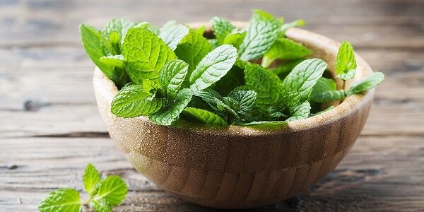 فواید بی‌نظیر گیاهان دارویی برای افراد