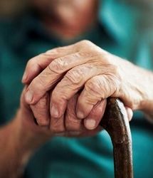  تعداد زنان سالمند از مردان پیشی‌گرفته است