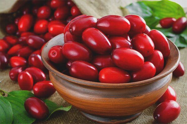 ذغال‌اخته بهترین دوست دونده‌ها