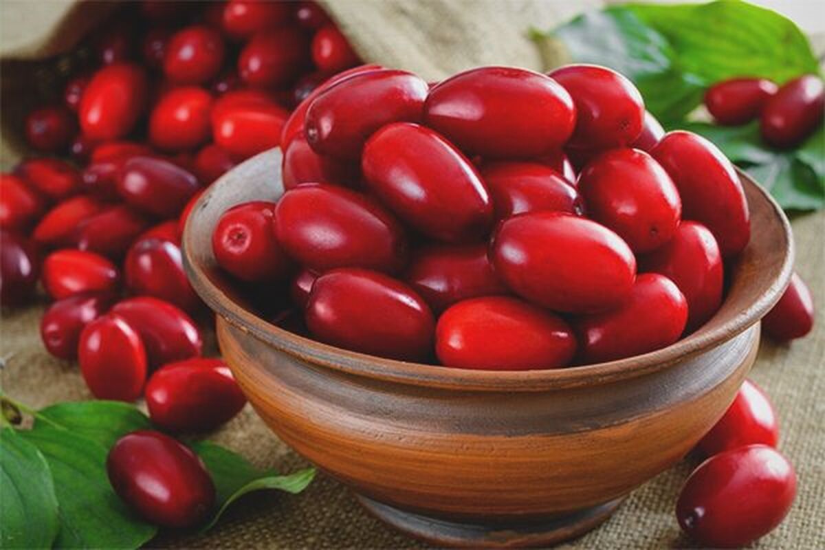 ذغال‌اخته بهترین دوست دونده‌ها