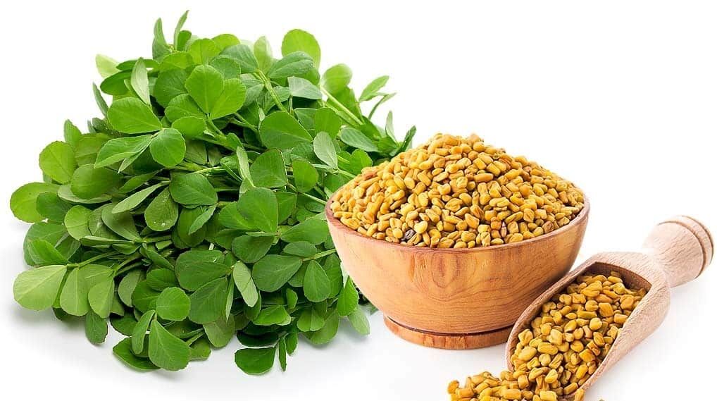 گیاهی که به توقف ریزش مو کمک می‌کند 