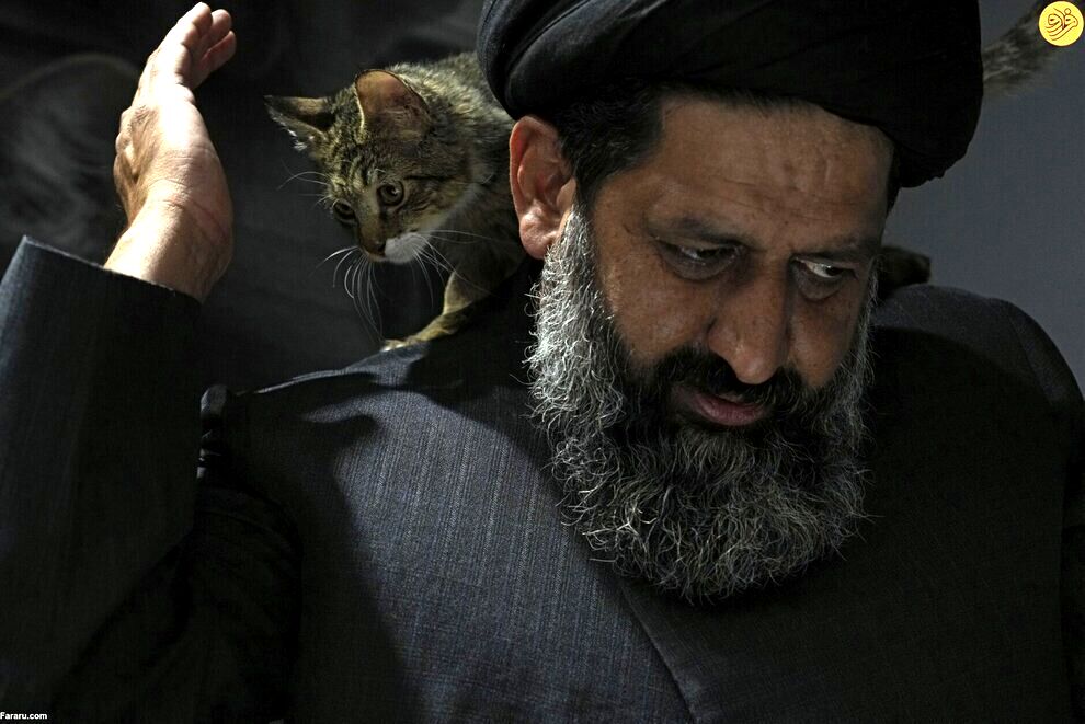 محبوبیت این روحانی در ایران، سوژه جهان شد | اقدام عجیب در نگهداری از سگ های ولگرد + عکس