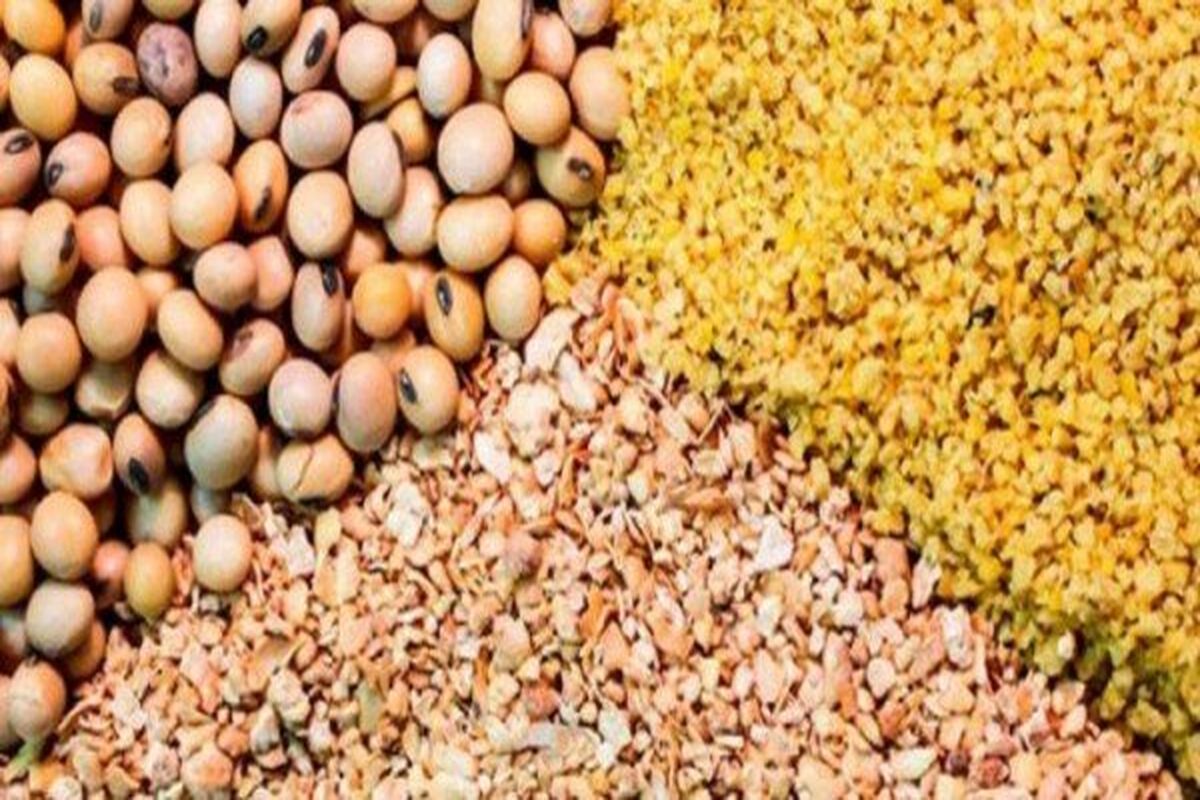 قیمت جدید نهاده‌های دامی اعلام شد