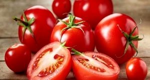 گوجه فرنگی دوباره گران شد