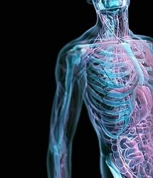 دلایل مهم سیستم ایمنی ضعیف بدن را بشناسید