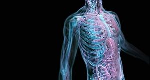 علت گاهی لرزیدن بدن انسان چیست؟