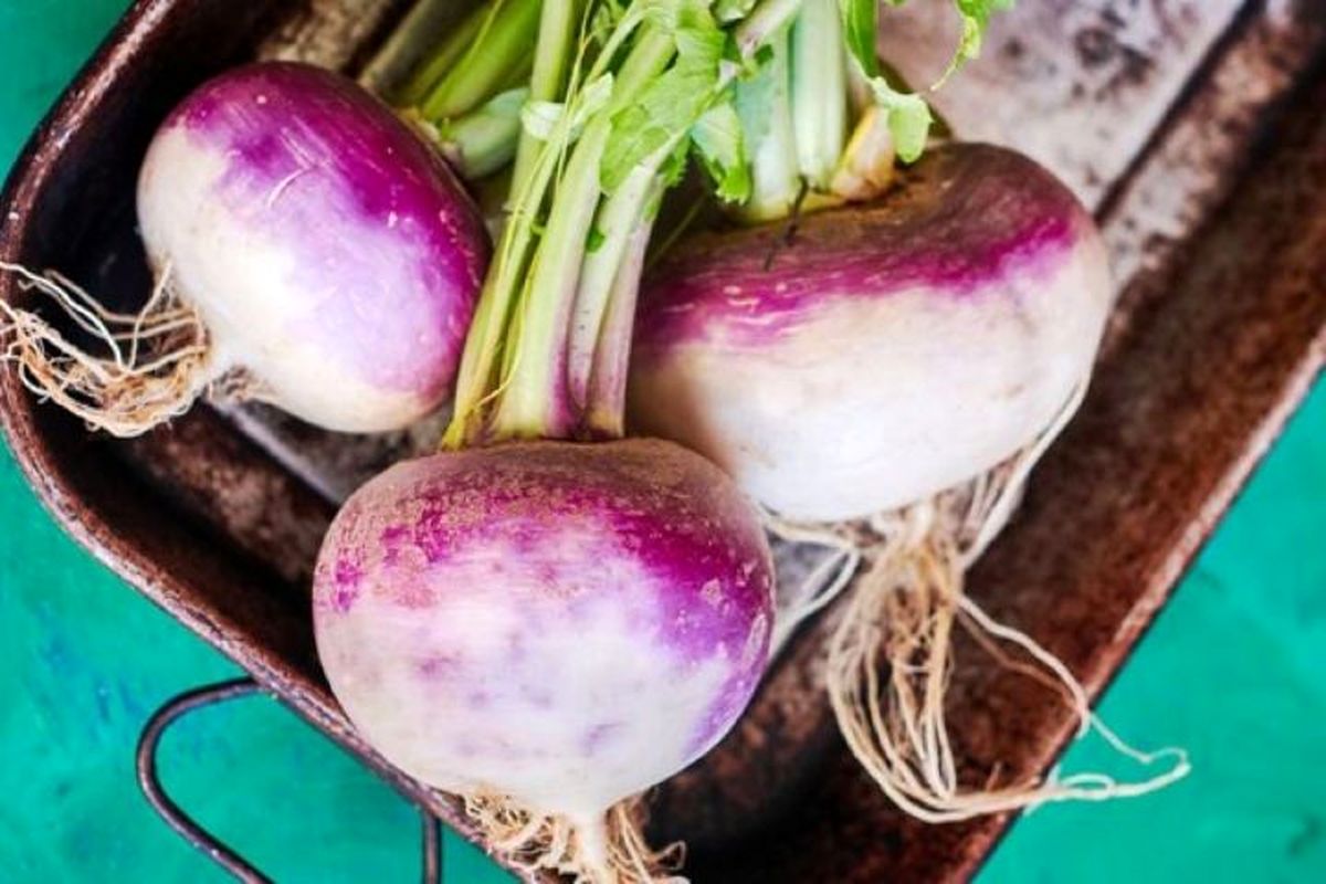 خواص ضد سرطانی شلغم را بیشتر بشناسید