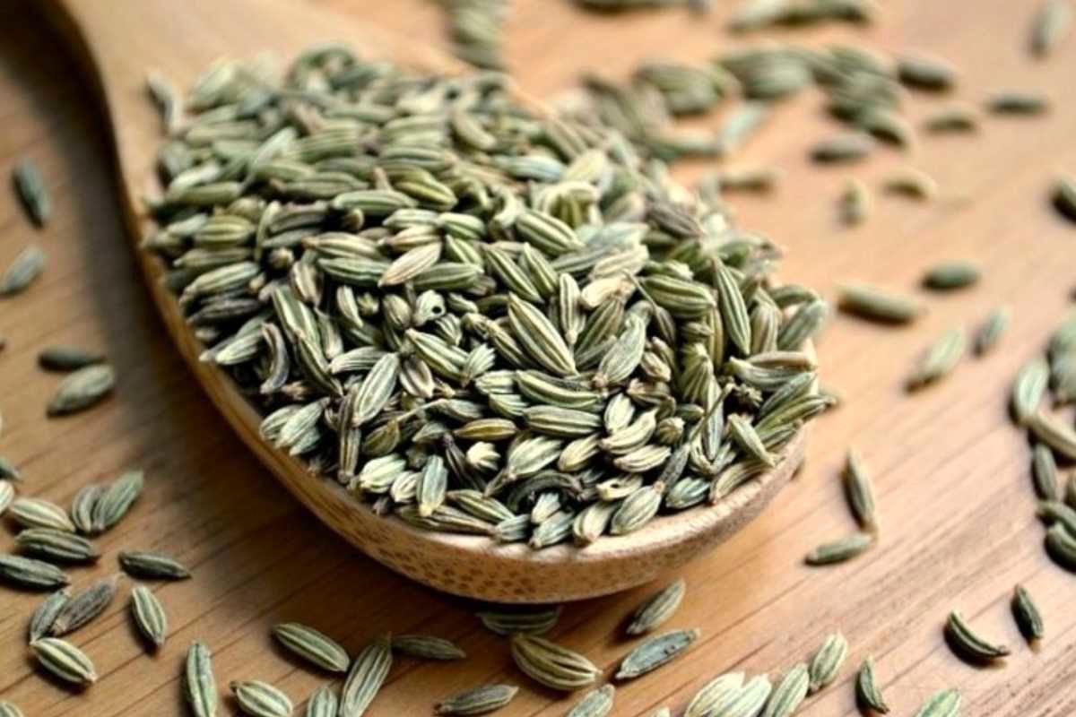 فواید روغن رازیانه برای مو
