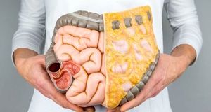 بهترین ویتامین‌ها برای تقویت دستگاه گوارش را بشناسید   