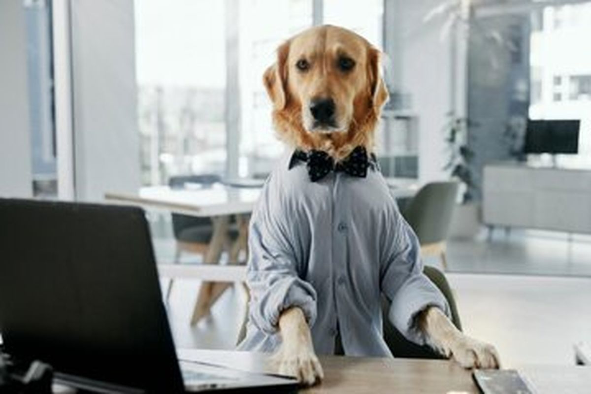 ​کشف ژن‌های مشترک میان سگ و انسان