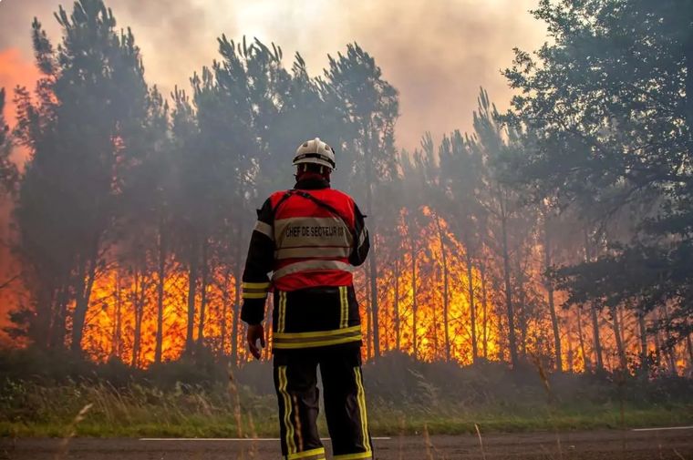 جزئیات آتش‌سوزی در جنگل‌های سپیدبرگ جوانرود