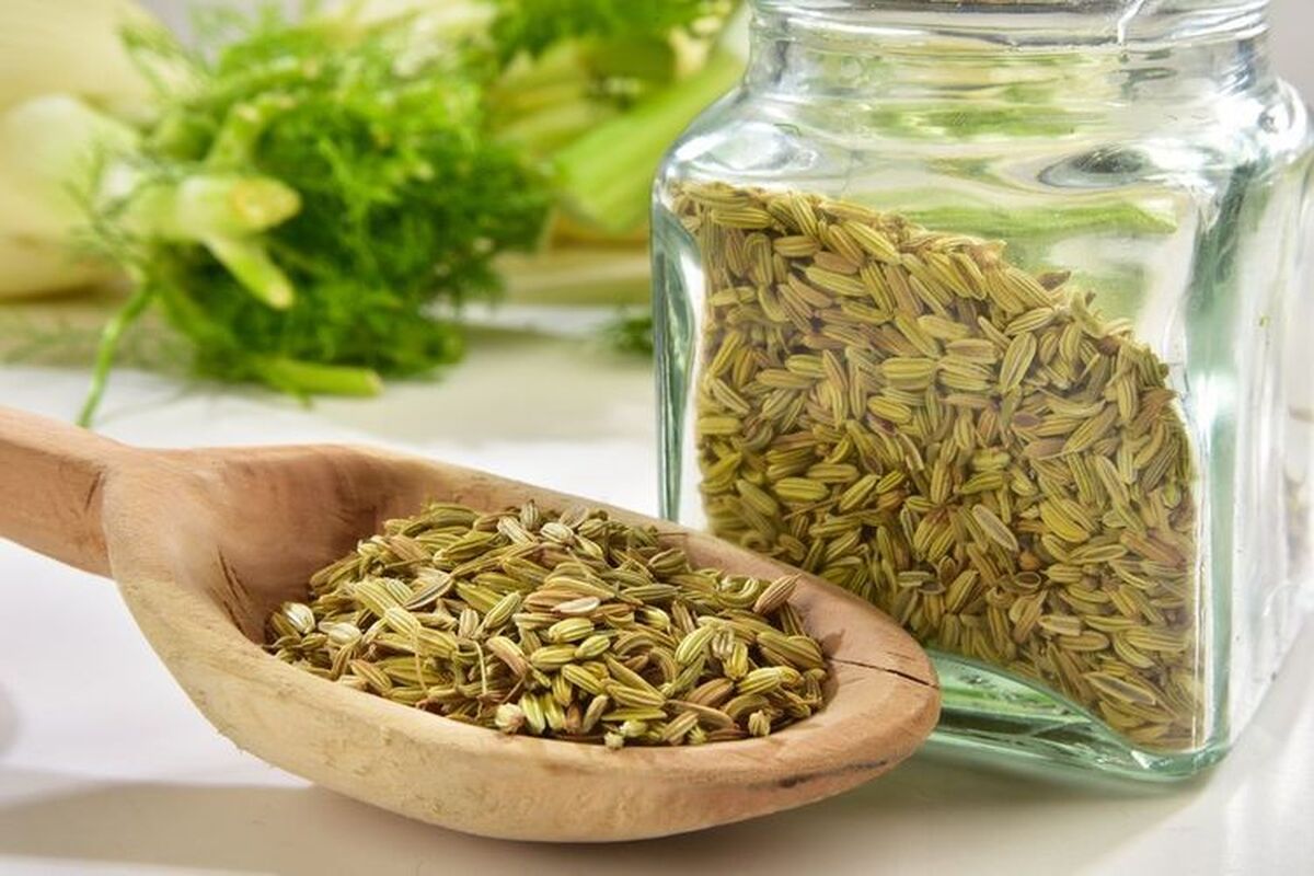آشنایی با موارد مصرف گیاه رازیانه در داروسازی