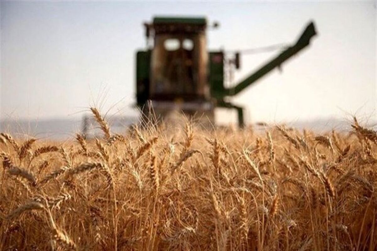 بحران غذا در راه است؟