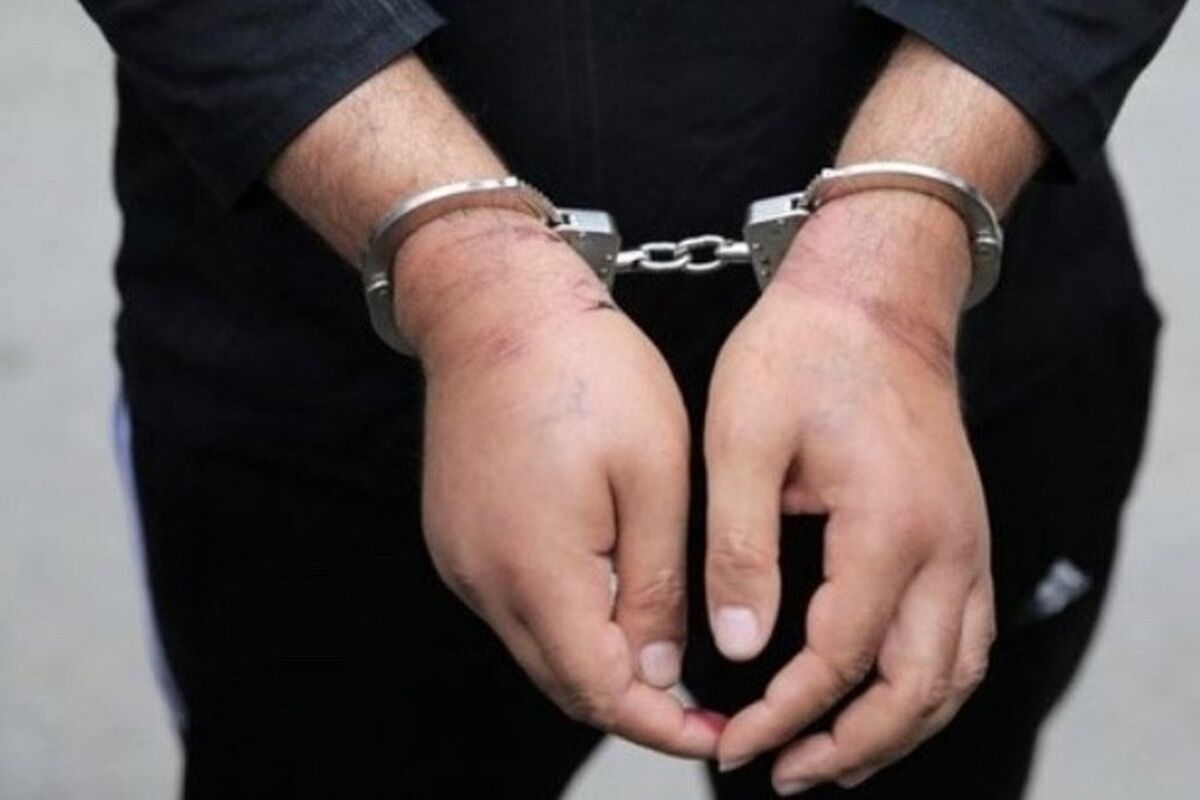 میلیاردر معروف به «دکتر» دستگیر شد