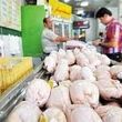 قیمت مرغ، گوشت سفید و تخم مرغ در بازار + جدول
