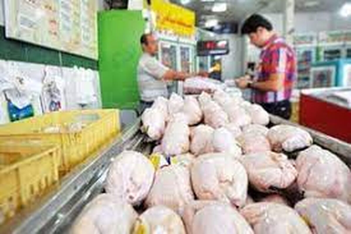قیمت جدید مرغ اعلام شد؛ گران‌ نخرید