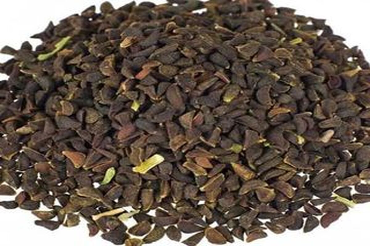 فواید عجیب اسپند دود کردن