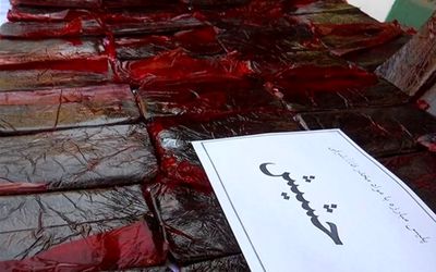 هشدار جدی پزشکی قانونی درباره مصرف گل و حشیش 