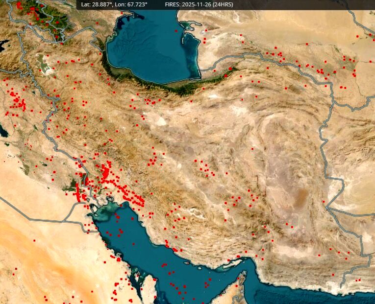 ورود به این جنگل ها ممنوع شد