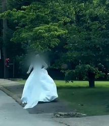 عروس خانم فردای عروسی با رحمان فرار کرد