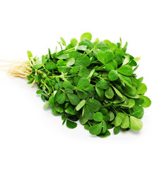 فواید شنبلیله برای سلامتی