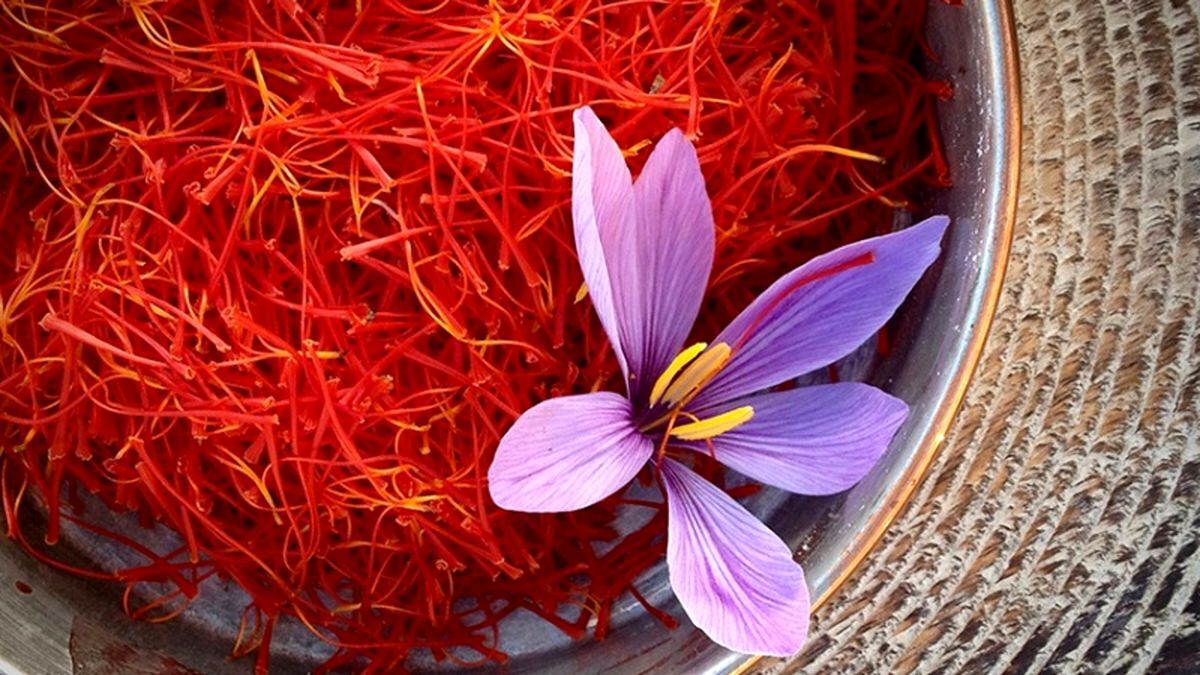 طلای سرخ ایرانی؛ به نام ما به کام خارجی‌‌‌ها