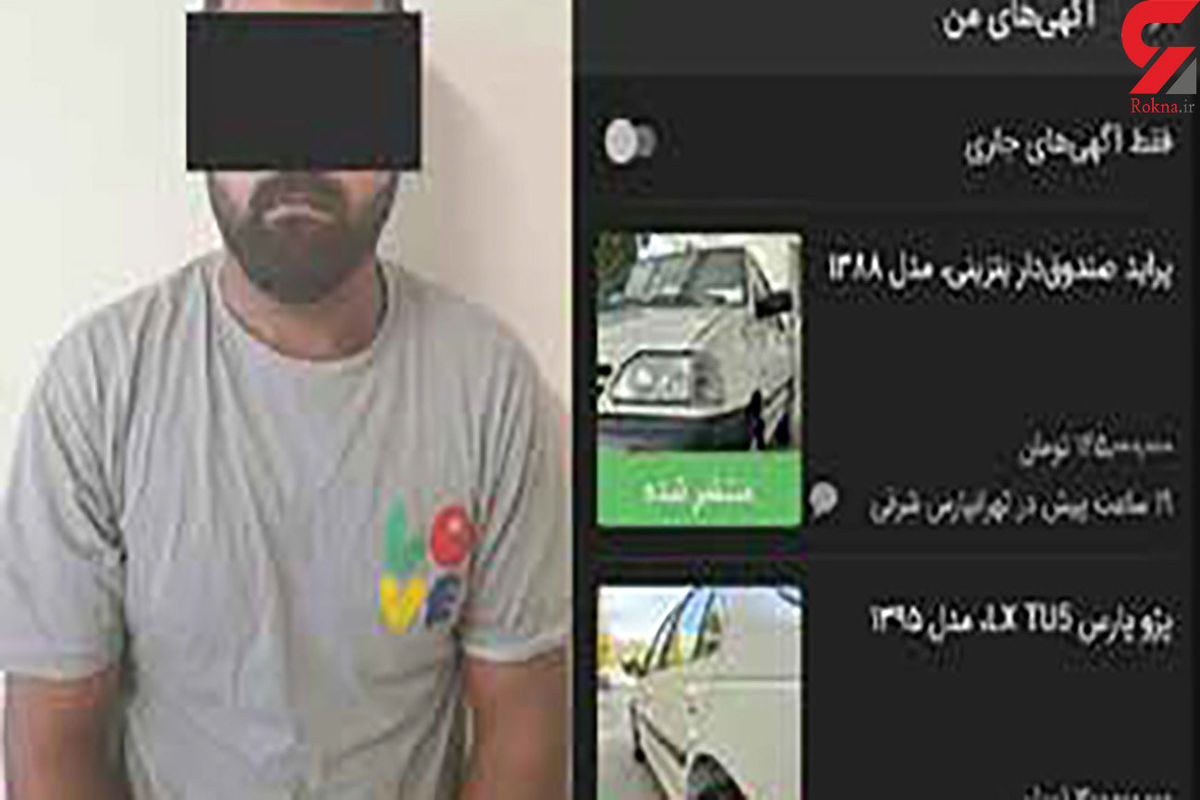 موش سایت دیوار به دام افتاد/ روش شیطانی موش سیاه + عکس