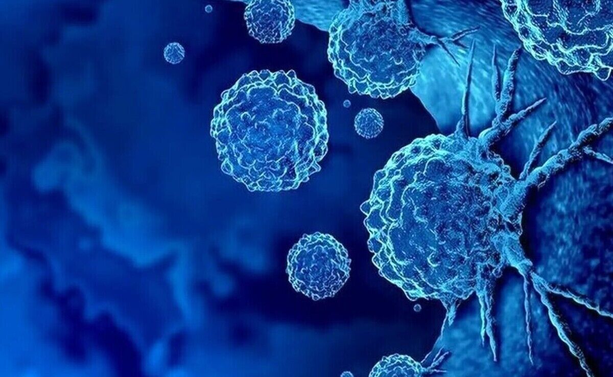 هوش مصنوعی سلول‌های قاتل سرطان را شناسایی می‌کند
