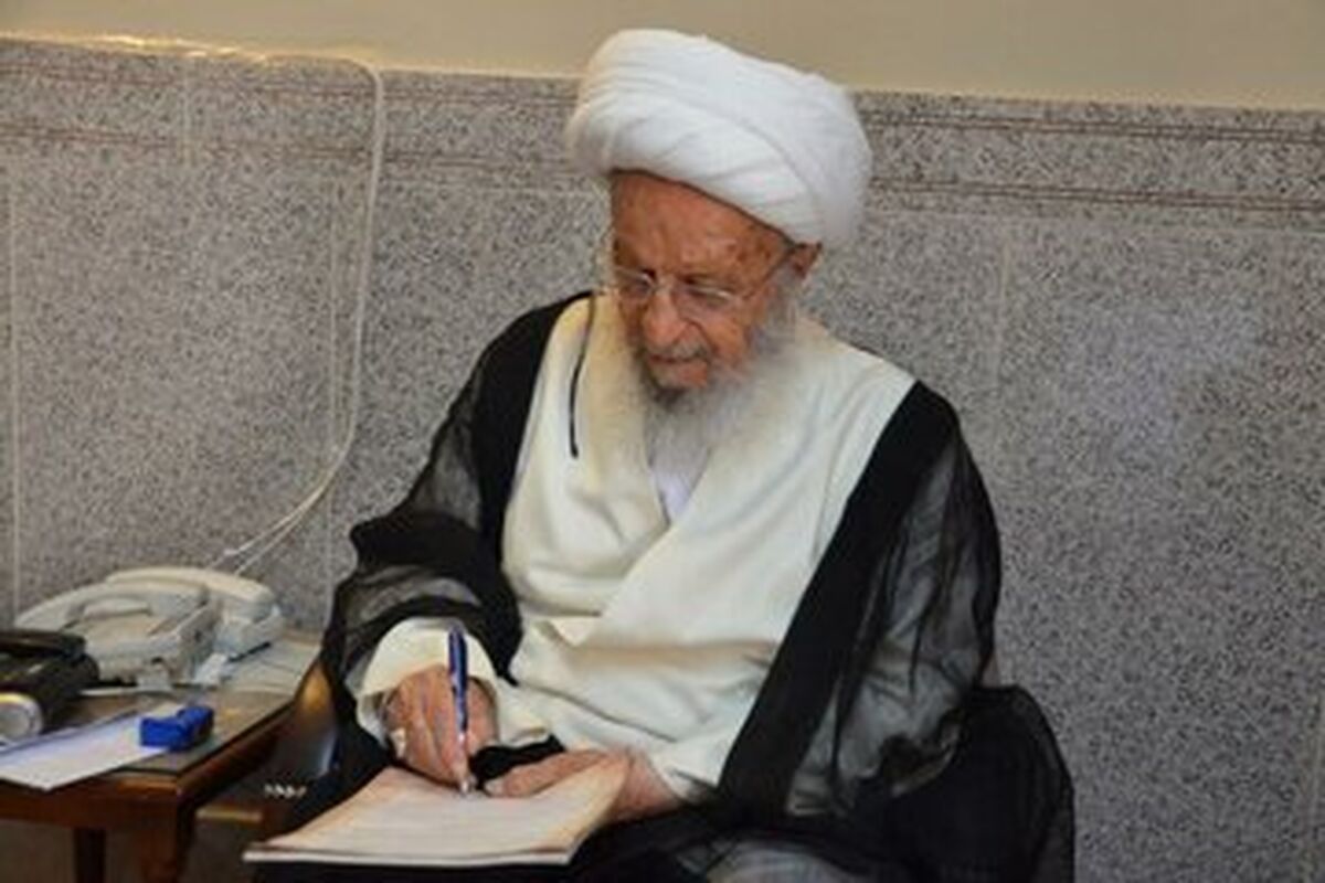 آیت الله مکارم شیرازی علت مخالفت خود را با تعطیلی شنبه بازگو کرد!