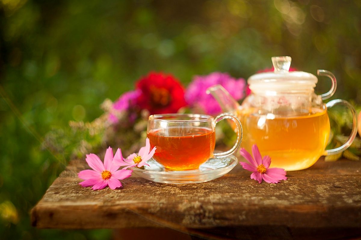با نوشیدن این 5 دمنوش گیاهی و خانگی چربی های شکم و پهلو رادر دوهفته از بین ببرید+ طرز تهیه و نحوه مصرف
