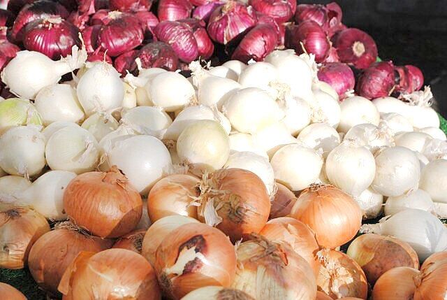 سیر و پیاز تشدیدکننده رفلاکس معده