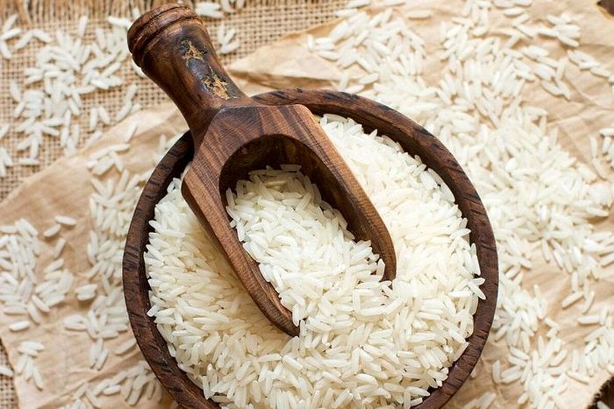 کمبود برنج نداریم