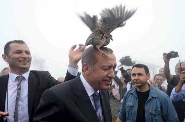 مصاحبه اردوغان نیمه تمام ماند/ بیماری آقای رئیس جمهور چیست؟