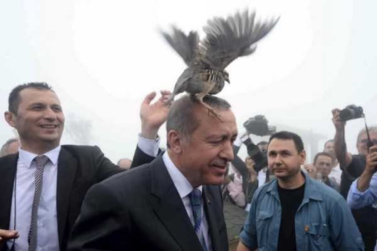 حال اردوغان وخیم شد