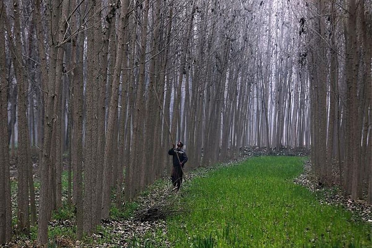 لهستان برای جنگ جهانی آماده می‌شود