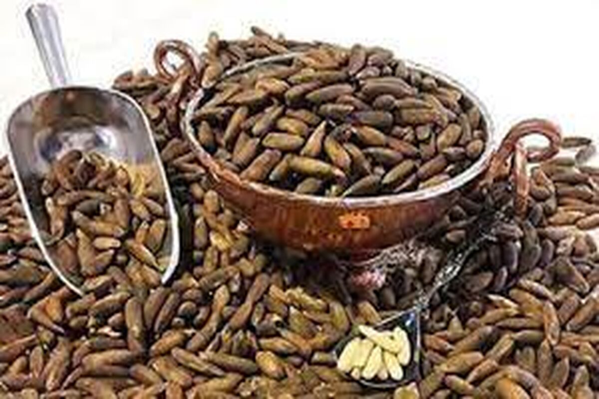 دانه افغانستانی که قاتل فشارخون است
