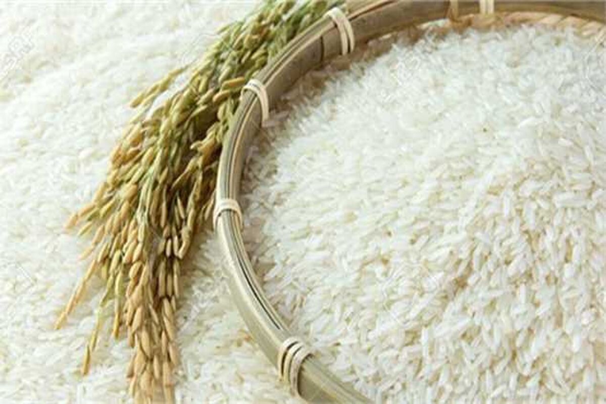 رایزنی برای لغو ممنوعیت واردات برنج