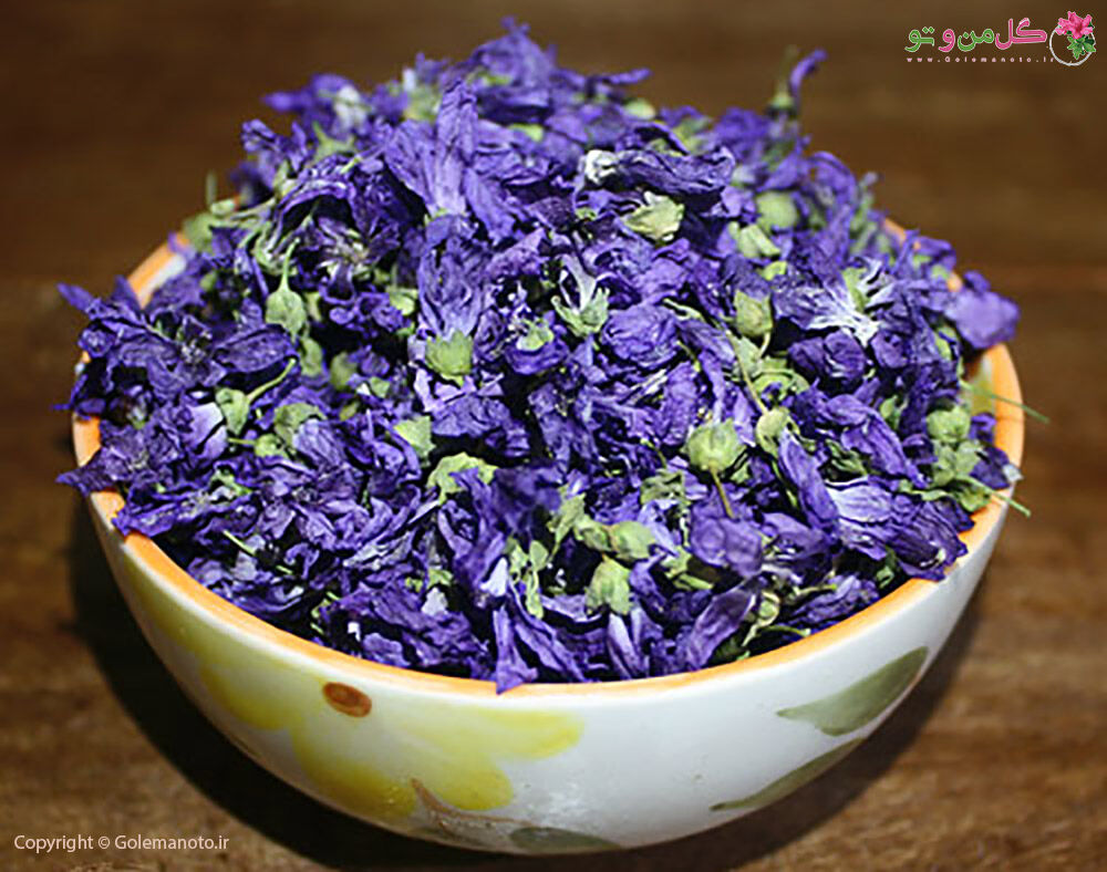 گیاهی که تب کودکان را پایین می آورد