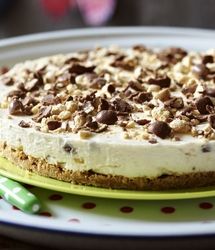چیز کیک رژیمی با طعم گردو/ طرز تهیه و مواد لازم