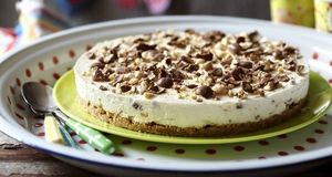 چیز کیک رژیمی با طعم گردو/ طرز تهیه و مواد لازم