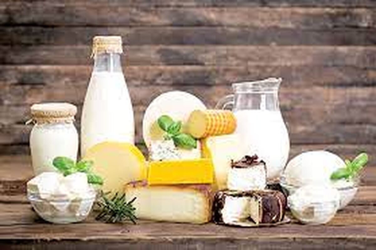  محصولات لبنی برای بار چندم گران شد؟